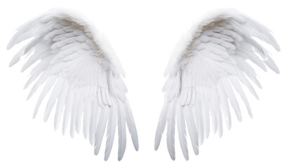 PNG  Pair of white angel wing bird white background archangel. 