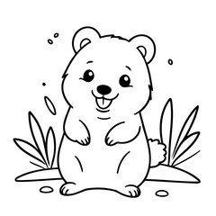 Cute vector illustration Quokka colouring page for kids