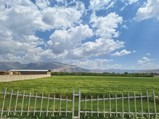 field and sky