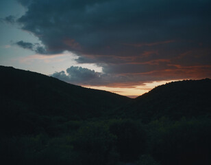 Fototapeta premium sunset over the forest