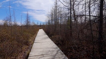 Hiking trail at Mer Bleue National conservation area near Ottawa CANADA