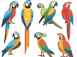 Colorful parrots sitting perches, vibrant feathers, varied poses, cartoon style, tropical birds. Exotic macaws red blue yellow green plumage, wildlife theme, perching illustrations. Bright avian © Vectorvstocker