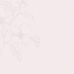 Delicate watercolor botanical digital paper floral