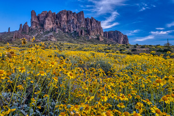 Superstition Mountain Spring