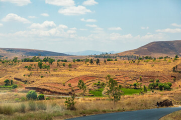 Typical Madagascar landscape rice terrace fields