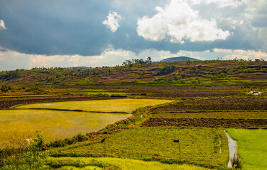 Obraz premium Madagascar life along roads.