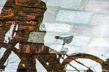 Reflection of person and bicycle in a puddle of rainwater in the river.