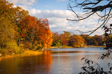 Autumn trees on the lake. 