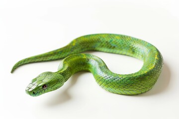Fototapeta premium Green wooden snake on isolated white background with neat tail 
