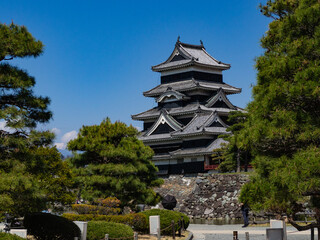 Fototapeta premium 快晴の空、春の松本城 