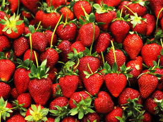 Delicious and Tasty Strawberries are Looking Amazing