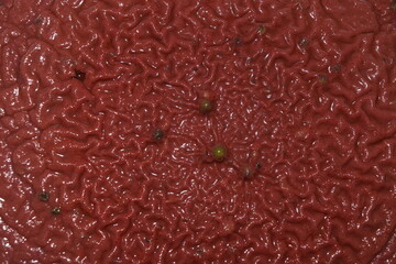 Red alien vein mass texture