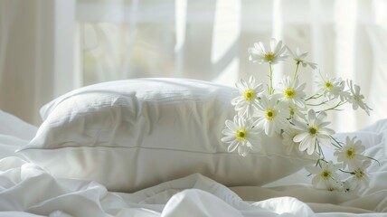 White daisies on pillow with sunlight and sheer curtains