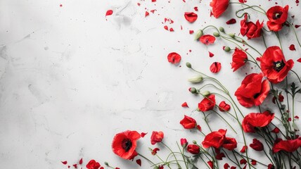 Red poppy flowers scattered on white surface