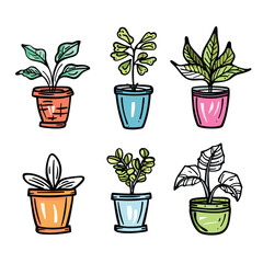 Handdrawn potted plants collection isolated white background. Colorful sketch indoor plants pots. Various houseplants colorful planters illustration