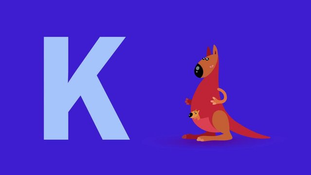 K letter big color like kangaroo cartoon animation. Animal loop. Educational serie with bold style character for children. Good for education movies, presentation, learning alphabet, etc...