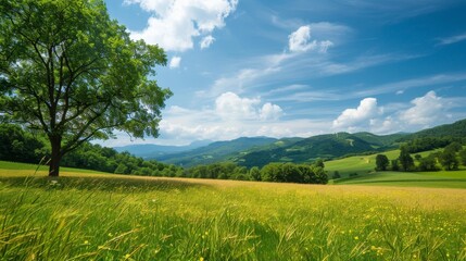Fototapeta premium A serene landscape depicting a lush green tree standing prominently in a blooming field with wildflowers under a clear sky, surrounded by distant rolling hills