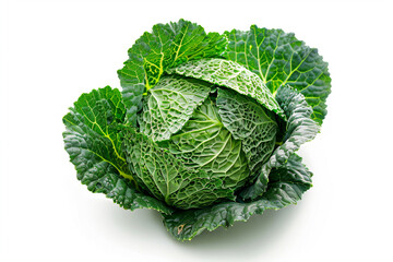 Obraz premium a head of cabbage on a white surface