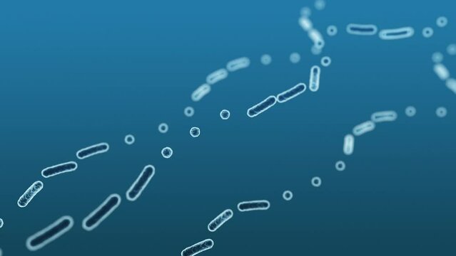 Enterobacteriaceae, gram-negative rod-shaped bacteria, part of intestinal microbiome and causative agents of different infections, 3D rendering. Escherichia coli, Klebsiella, Enterobacter and other