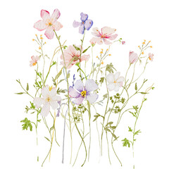 Obraz premium Watercolor wildflower border garden field tiny flowers spring summer design wedding invitation for stationary pastel colors