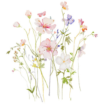 Watercolor border bouquet of flowers, wildflowers border, butterflies, delicate design png transparent background