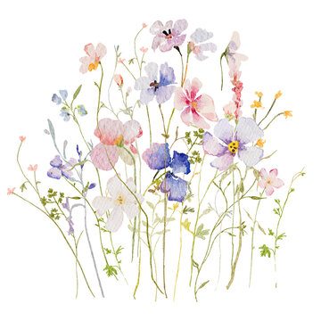 spring floral design pastel flowers with butterflies wildflower wreath png transparent background collection garden flowers botanic Wedding floral design border purple