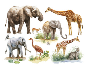 Various wildlife animals watercolor illustration big set. Hand drawn realistic animal collection with names. elephants, giraffe, leopard, deer, bird, flamingo elements. wildlife animal big set © Pickoloh
