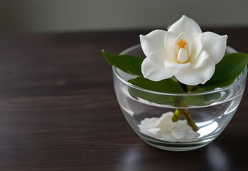 A single white gardenia floating in a crystal bowl, generative AI