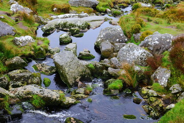 Rocky creek with fresh mountain water