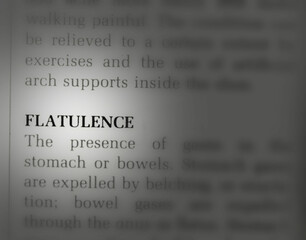 close up photo of the word flatulence