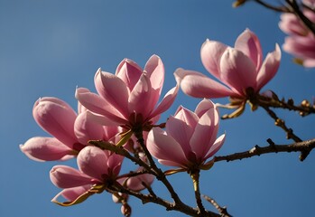 Blossoms of pink magnolia against a backdrop of blue sky, generative AI
