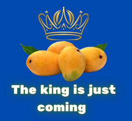 The king is just coming, World's best fruit mango, Mango festival,illustration of an Mango, king of fruits, illustration, vector, mango jam,mango pickle, mango shake
