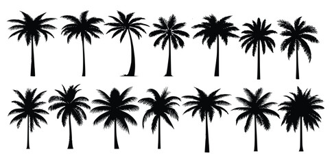 set of silhouettes of palm trees