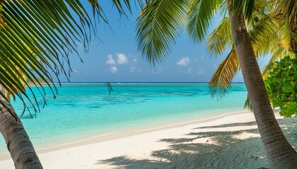 view through palm trees to a dream beach in the maldives with the turquoise blue waters of the ocean
