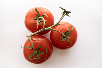 Tomatoes