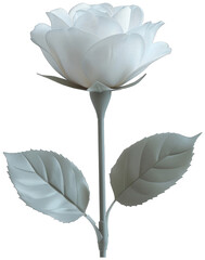 a white rose with leaves on a stem against a white background, transparent background png