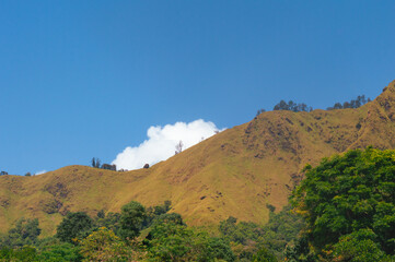 a view of the hills in the morning in the Sembalun Rinjani area partly covered in fog