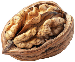 a walnut shell with a walnut kernel in it, transparent background png