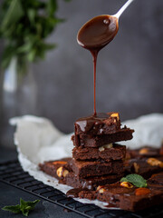 Chocolate brownie with chocolate sauce. High quality photo