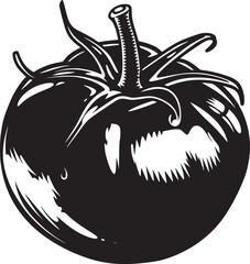 Tomato. Hand drawn sketch icons of vegetable. Isolated vector illustration in doodle line style