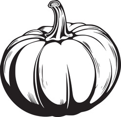 Pumpkin vector black and white