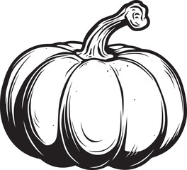 Pumpkin vector black and white