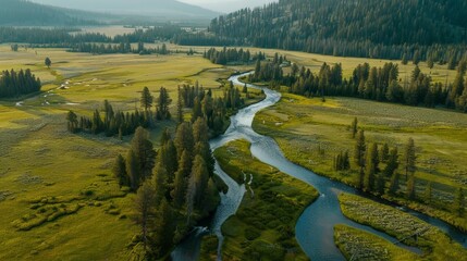 Obraz premium Along the winding path of the East Fork River in Wyoming, nature reveals its raw and untouched beauty, painting a picture of serenity and wilderness.