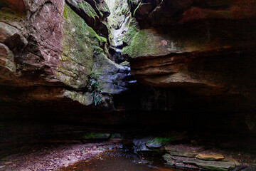 Wollangambe River/Canyon Area, Blue Mountains National Park, New South Wales, Australia