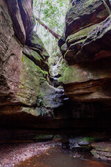 Wollangambe River/Canyon Area, Blue Mountains National Park, New South Wales, Australia