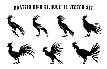 Hoatzin Bird Silhouette vector art Set, Hoatzin Birds Silhouettes black Clipart bundle