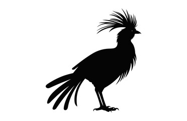 Hoatzin Bird Silhouette vector black clipart