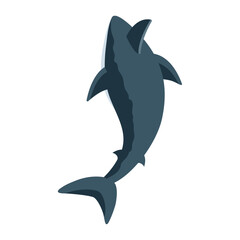 shark dangerous animal