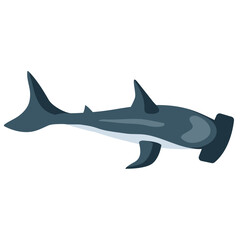 hammerhead shark animal