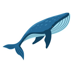 whale animal underwater